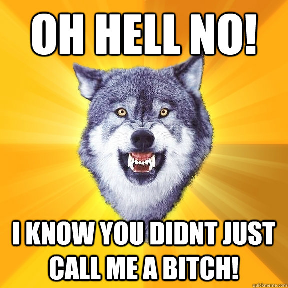 oh hell no! i know you didnt just call me a Bitch!  Courage Wolf