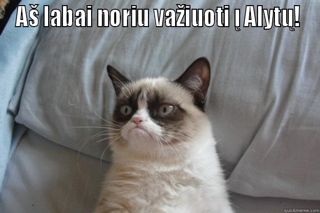 AŠ LABAI NORIU VAŽIUOTI Į ALYTŲ!  Grumpy Cat