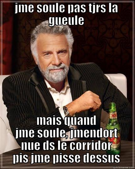 JME SOULE PAS TJRS LA GUEULE MAIS QUAND JME SOULE, JMENDORT NUE DS LE CORRIDOR PIS JME PISSE DESSUS The Most Interesting Man In The World