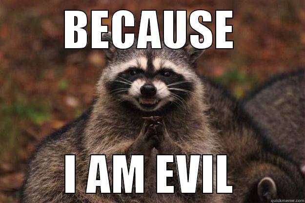 Ploting racoon being evil - BECAUSE I AM EVIL Evil Plotting Raccoon