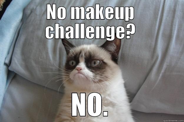 NO MAKEUP CHALLENGE? NO. Grumpy Cat