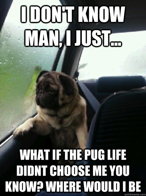 I don't know man, I just... What if the Pug life didnt choose me you know? where would i be   Introspective Pug