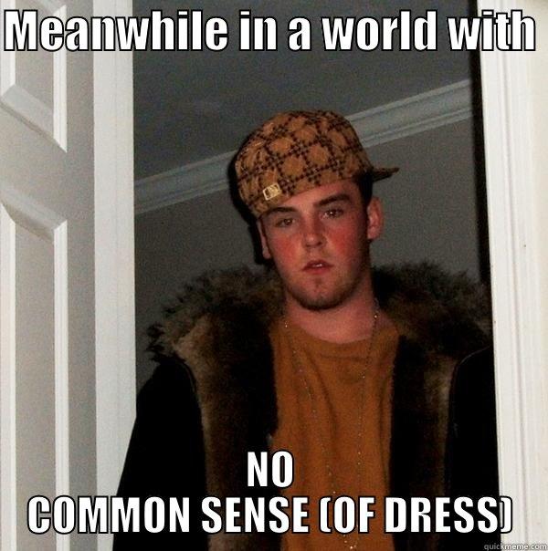 MEANWHILE IN A WORLD WITH  NO COMMON SENSE (OF DRESS) Scumbag Steve