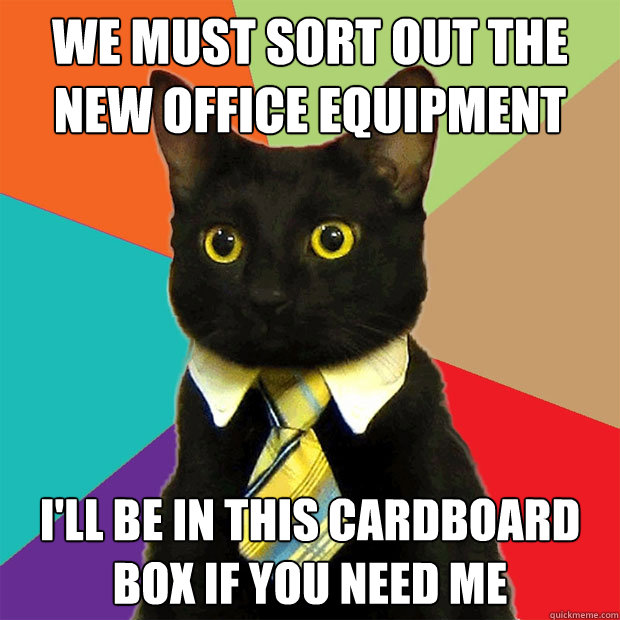 We must sort out the new office equipment I'll be in this cardboard box if you need me  Business Cat