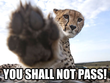 You shall not pass! - You shall not pass!  Interview Declined Cheetah