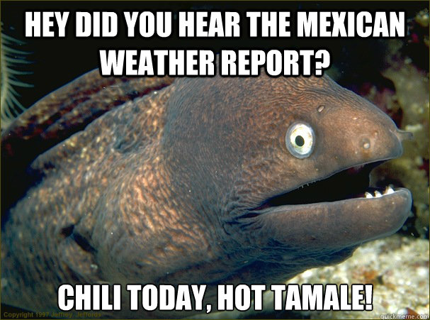 Hey did you hear the Mexican weather report? Chili today, hot tamale!  Bad Joke Eel