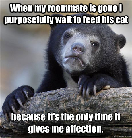 When my roommate is gone I purposefully wait to feed his cat  because it's the only time it gives me affection. - When my roommate is gone I purposefully wait to feed his cat  because it's the only time it gives me affection.  Confession Bear