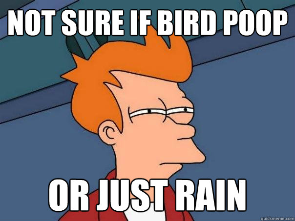 not sure if bird poop or just rain  Futurama Fry