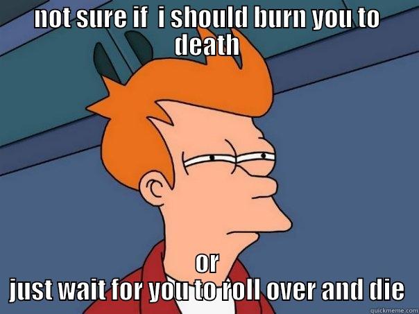 NOT SURE IF  I SHOULD BURN YOU TO DEATH OR JUST WAIT FOR YOU TO ROLL OVER AND DIE Futurama Fry