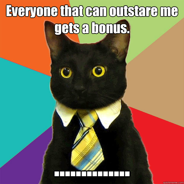 Everyone that can outstare me gets a bonus. ..............  Business Cat