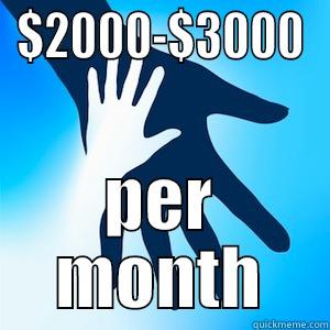 $2000-$3000 PER MONTH Misc