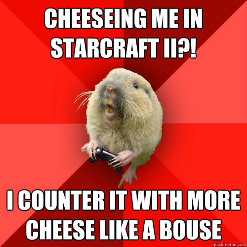 CHEESEING ME IN STARCRAFT II?! I counter it with more cheese LIKE A BOUSE  Gaming Gopher