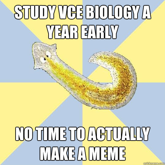 study vce biology a year early no time to actually make a meme  Bio Major Planarian