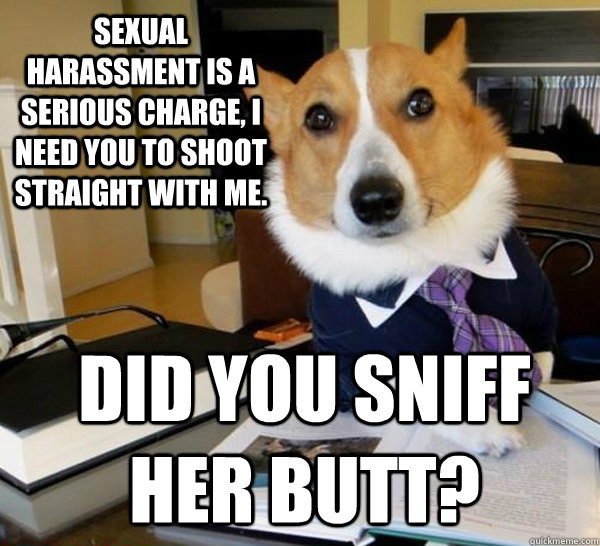 sexual harassment is a serious charge, i need you to shoot straight with me.  Did you sniff her butt?  Lawyer Dog