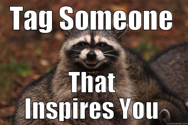 TAG SOMEONE THAT INSPIRES YOU Evil Plotting Raccoon