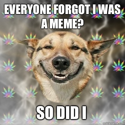 Everyone forgot I was a meme? So did I  Stoner Dog