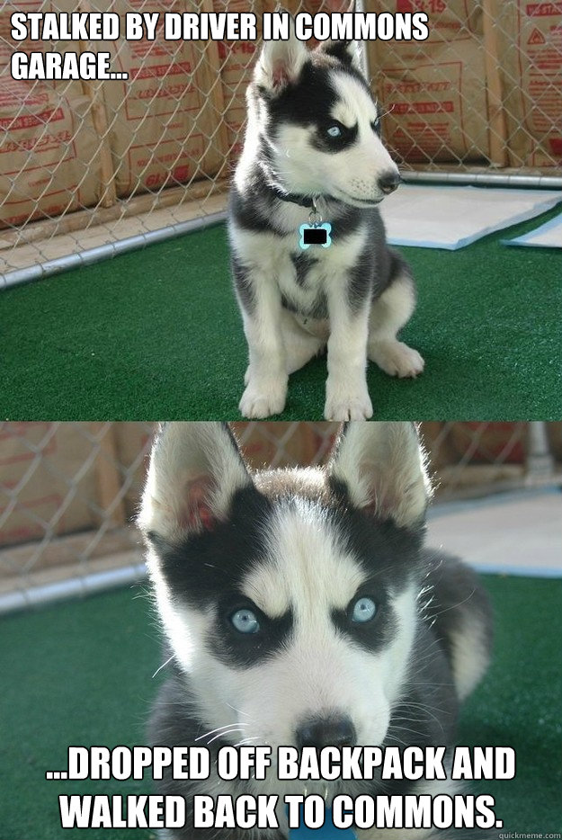 Stalked by driver in commons garage... ...dropped off backpack and walked back to commons.   Insanity puppy