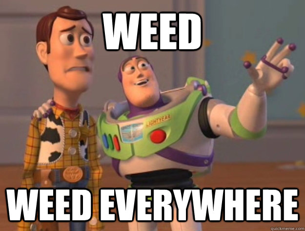 Weed Weed everywhere   Buzz Lightyear