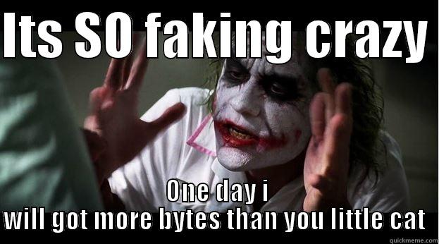 ITS SO FAKING CRAZY  ONE DAY I WILL GOT MORE BYTES THAN YOU LITTLE CAT  Joker Mind Loss