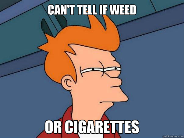 Can't tell if weed or cigarettes  Futurama Fry