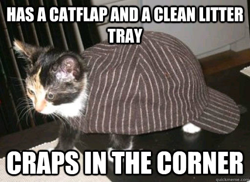 Has a catflap and a clean litter tray Craps in the corner  
