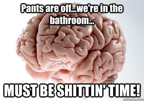 Pants are off...we're in the bathroom... MUST BE SHITTIN' TIME!   Scumbag Brain