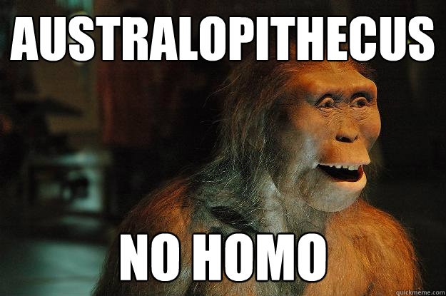 australopithecus no homo  Australopithecus