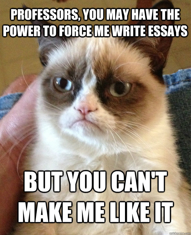 Professors, you may have the power to force me write essays but you can't make me like it  Grumpy Cat