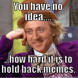 Holding back....meme....ergghhh - YOU HAVE NO IDEA.... ...HOW HARD IT IS TO HOLD BACK MEMES. Condescending Wonka