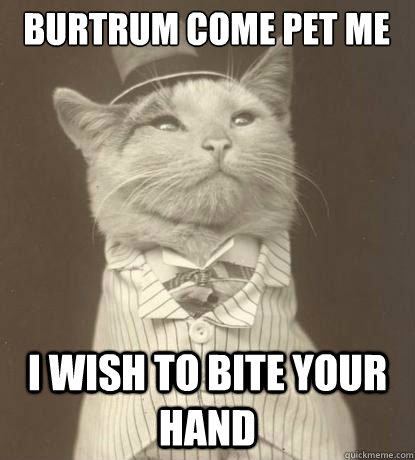 burtrum come pet me I wish to bite your hand  Aristocat