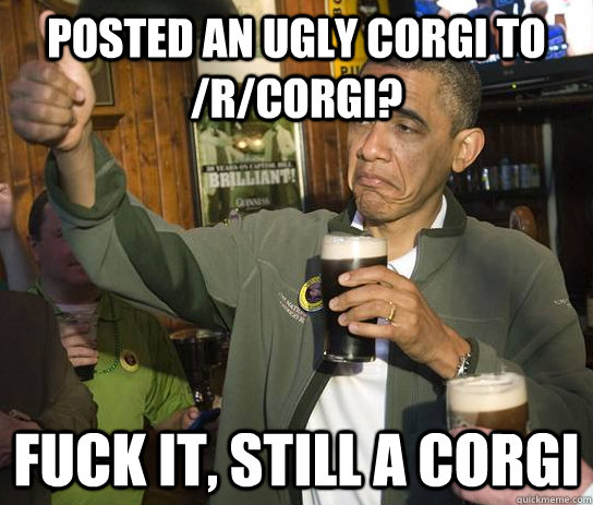 Posted an ugly corgi to /r/corgi? Fuck it, Still a corgi  Upvoting Obama