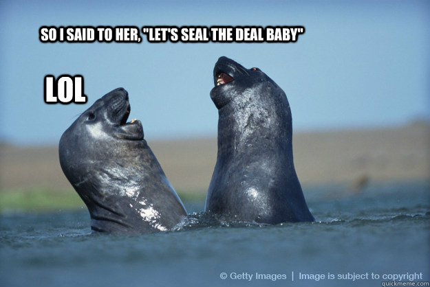 so-i-said-to-her-let-s-seal-the-deal-baby-lol-silly-seals-quickmeme