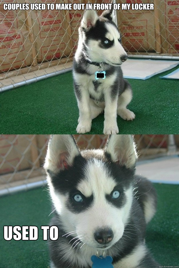 Couples used to make out in front of my locker USED TO  Insanity puppy