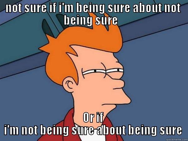 NOT SURE IF I'M BEING SURE ABOUT NOT BEING SURE   OR IF I'M NOT BEING SURE ABOUT BEING SURE Futurama Fry