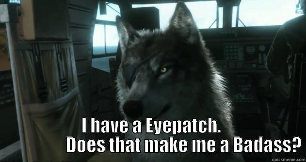 Eyepatch Wolf -  I HAVE A EYEPATCH.                    DOES THAT MAKE ME A BADASS? Misc