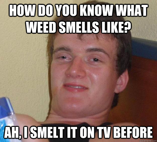 How do you know what Weed Smells like? ah, I smelt it on TV before  10 Guy