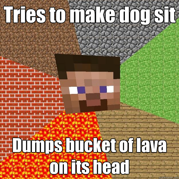 Tries to make dog sit Dumps bucket of lava on its head  Minecraft