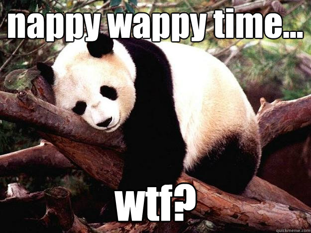 nappy wappy time... wtf?  Procrastination Panda