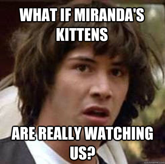 What if Miranda's kittens are really watching us?  conspiracy keanu