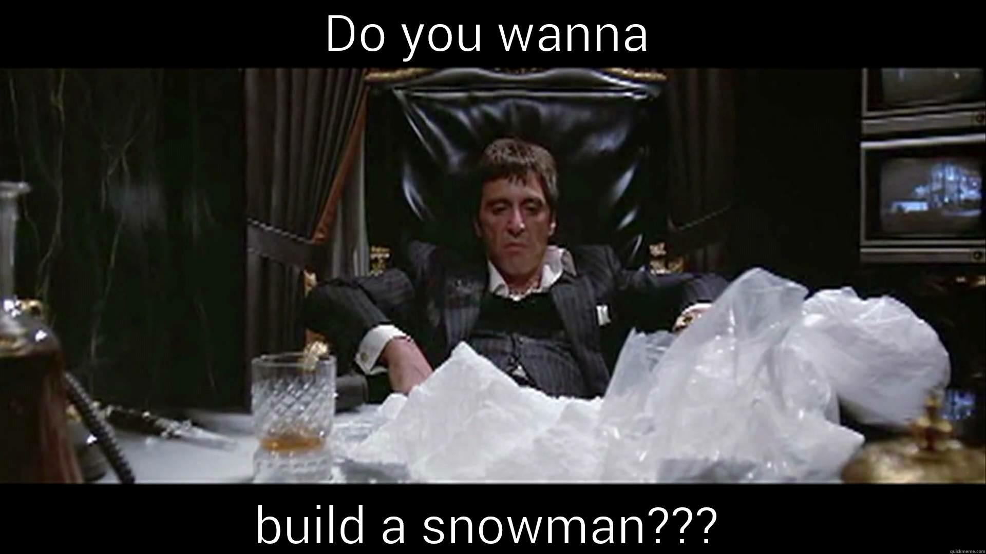 DO YOU WANNA BUILD A SNOWMAN??? Misc