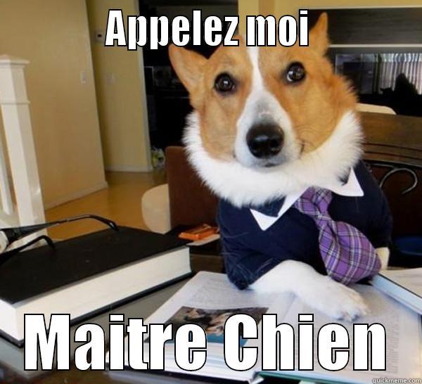 Maitre chien -             APPELEZ MOI             MAITRE CHIEN Lawyer Dog