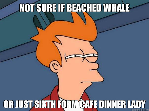 Not sure if beached whale or just sixth form cafe dinner lady  Futurama Fry