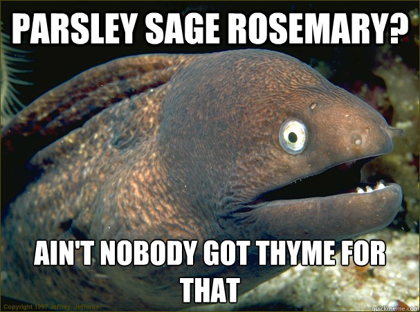 parsley sage rosemary? ain't nobody got thyme for that - parsley sage rosemary? ain't nobody got thyme for that  Bad Joke Eel