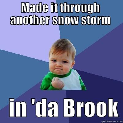 MADE IT THROUGH ANOTHER SNOW STORM    IN 'DA BROOK Success Kid