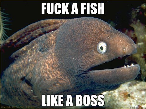 FUCK A FISH LIKE A BOSS  Bad Joke Eel