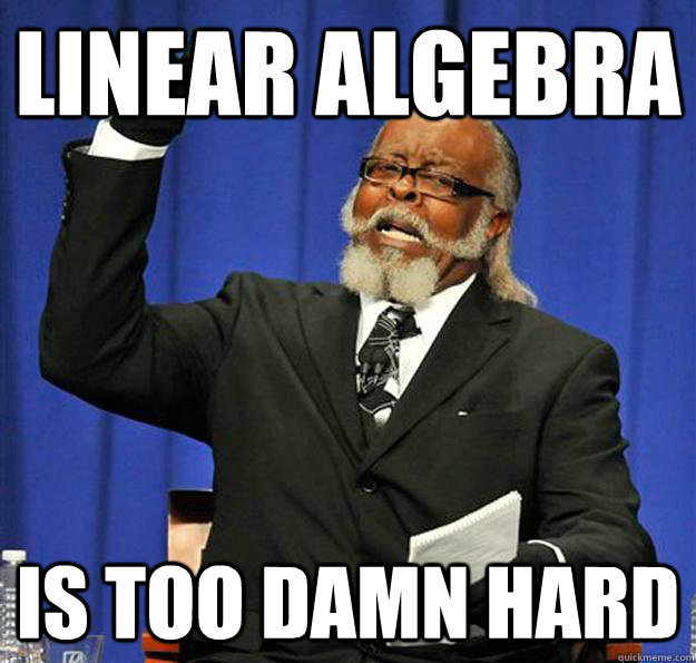 Linear Algebra Is too damn hard  Jimmy McMillan