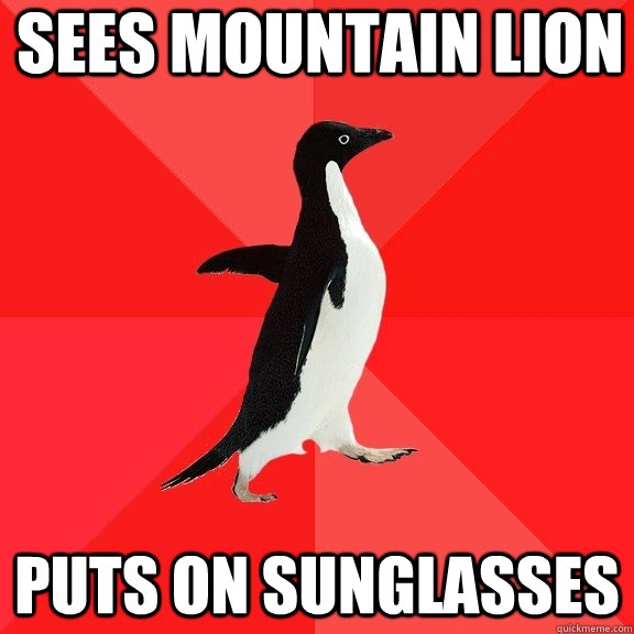 SEES MOUNTAIN LION pUTS ON SUNGLASSES  Socially Awesome Penguin