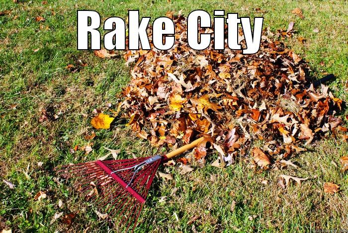 RAKE CITY  Misc