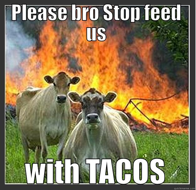 PLEASE BRO STOP FEED US WITH TACOS Evil cows