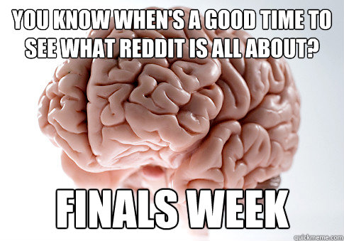 You know when's a good time to see what reddit is all about?  FINALS WEEK  Scumbag Brain